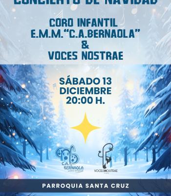 CONCIERTO DE NAVIDAD.