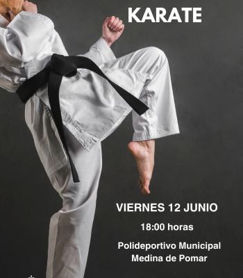 Exhibición de Karate.
