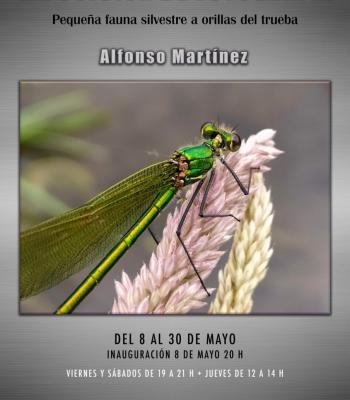 Exposición de fotografía: Pequeña fauna silvestre a....