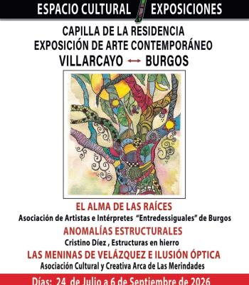 Exposiciones de Arte Contemporánero.