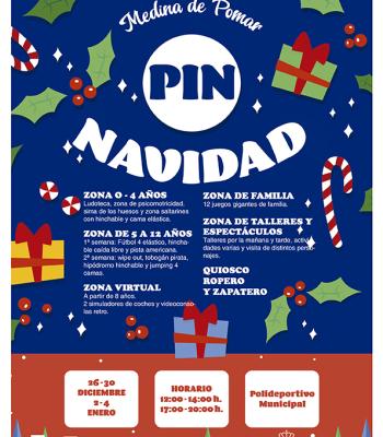 PIN NAVIDAD.
