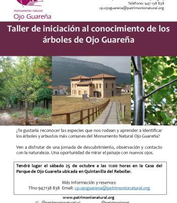 Taller de iniciación al conocimiento de los árboles y....