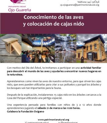 Taller familiar por el Día del Árbol: descubrir las aves y....
