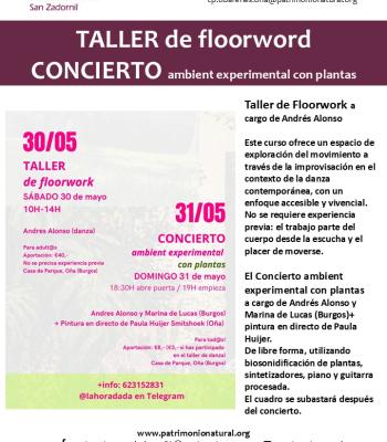 Taller y concierto.