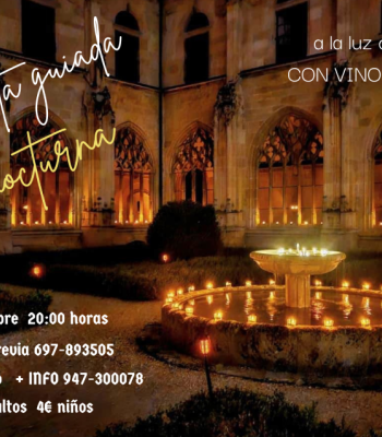 Visita guiada nocturna.