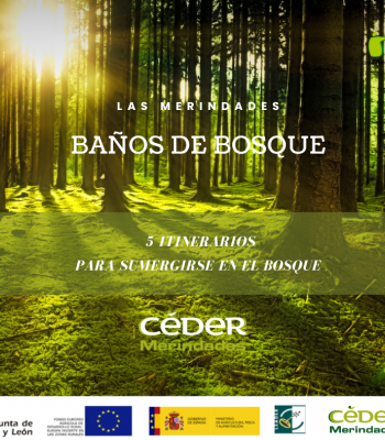 El CEDER Merindades presenta la red de Baños de Bosque de....