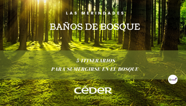 El CEDER Merindades presenta la red de Baños de Bosque de....