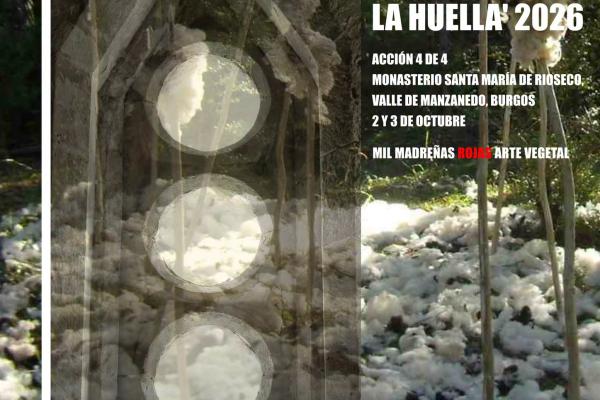 EL ARTE Y LA NATURALEZA SE ENCUENTRAN EN EL CLAUSTRO DE...