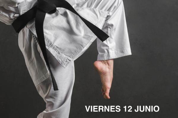 Exhibición de Karate