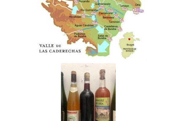 Fiesta de chacolí en Tamayo