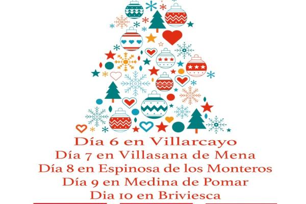 MERCADO DE NAVIDAD