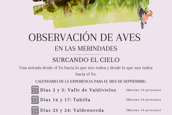 Observación de aves en Las Merindades. Surcando el cielo.