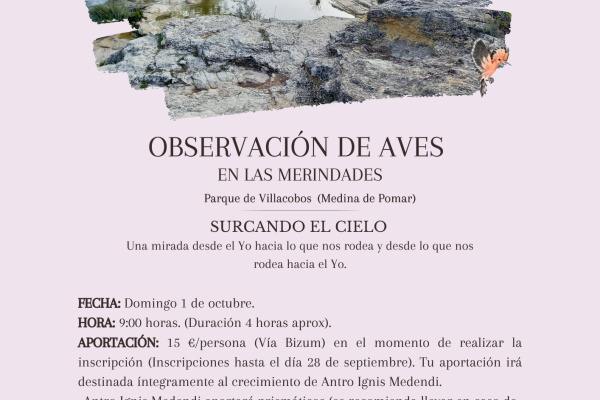 Observación de aves en Las Merindades. Surcando el cielo.