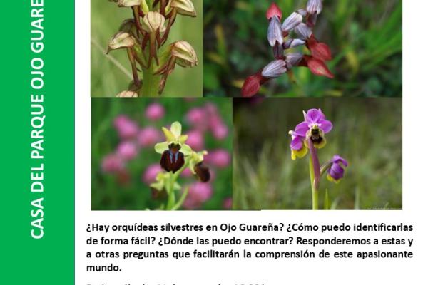 RUTA GUIADA PARA CONOCER LAS ORQUÍDEAS SILVESTRES DEL...