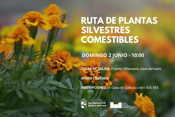 Ruta de plantas silvestres comestibles