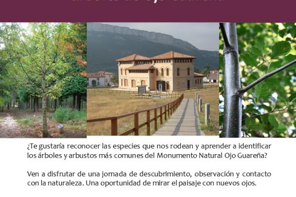 Taller de iniciación al conocimiento de los árboles y...