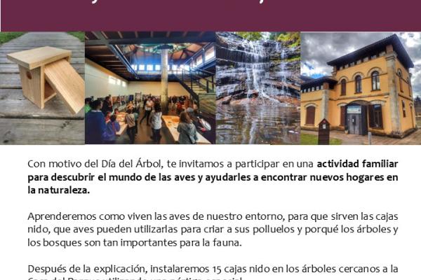 Taller familiar por el Día del Árbol: descubrir las aves y...