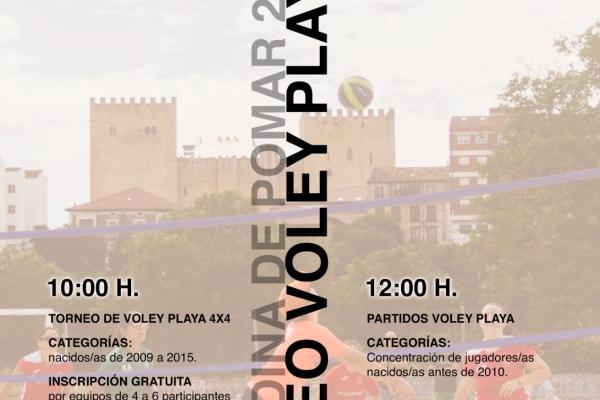 Torneo Voley Playa 4x4.