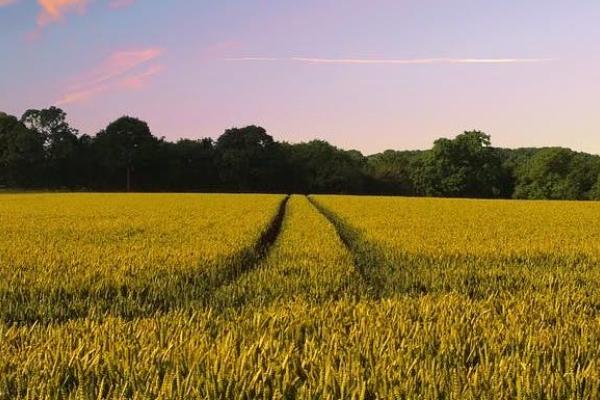 Ayudas y Subvenciones Leader 23-27